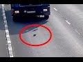 Kitten narrowly avoids being hit by several cars on Russian motorway