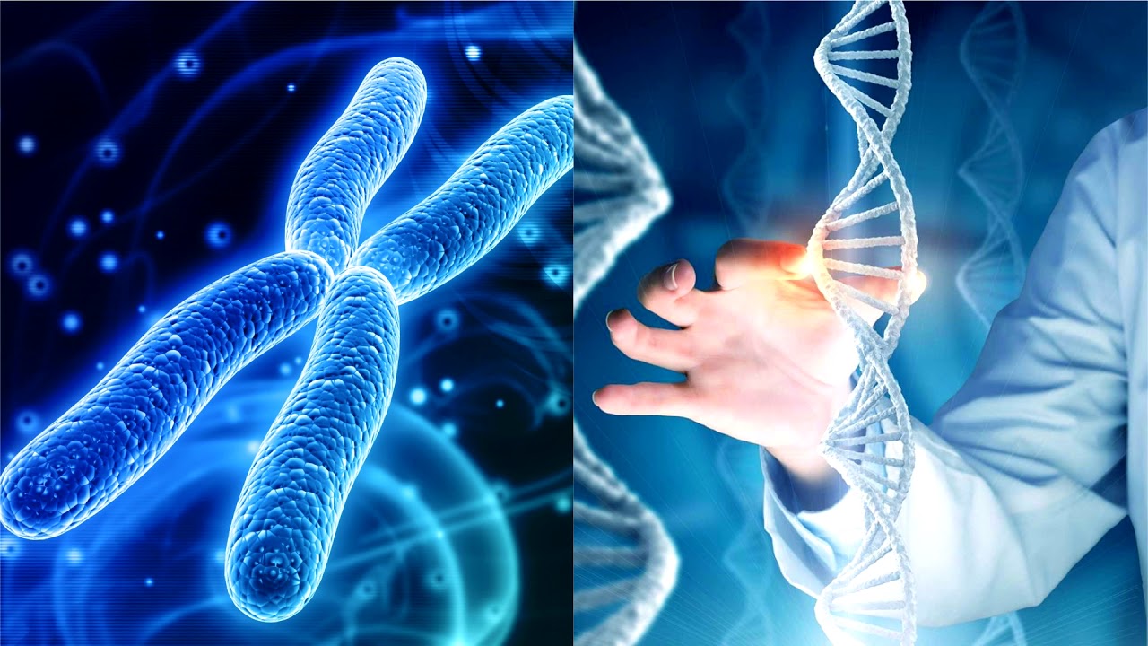 Изменение генома организма