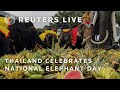 LIVE: Thailand celebrates national elephant day