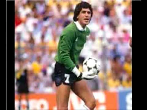 Fillol, un ataja goles (PEPELOTAS)