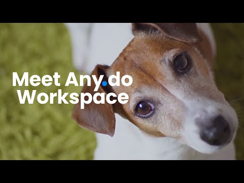 Any.do announces its team collaboration platform that puts individuals at the center - Vimarsana News