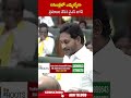 అసెంబ్లీలో ఎమ్మెల్యేగా ప్రమాణం చేసిన వైఎస్ జగన్.. #ysjagan #assembly | ABN Telugu  - 00:58 min - News - Video