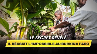 Impossible au Burkina ? Il cultive de la banane et de la papaye ! 🇧🇫