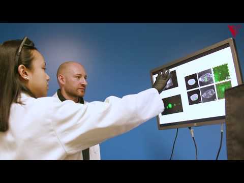 Illinois Tech researchers are developing a new cancer imager that will allow doctors to diagnose breast cancer earlier and more accurately. Read more here: https://magazine.iit.edu/spring-2018/brilliant-beacons-research-horizon Illinois Tech researchers are developing a new cancer imager that will allow doctors to diagnose breast cancer earlier and more accurately. Read more here: https://magazine.iit.edu/spring-2018/brilliant-beacons-research-horizon