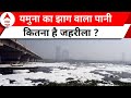 Delhi Yamuna Pollution: क्या यमुना का जल पीने लयक है, जानिए एक्सपर्ट की क्या है राय ? | ABP News