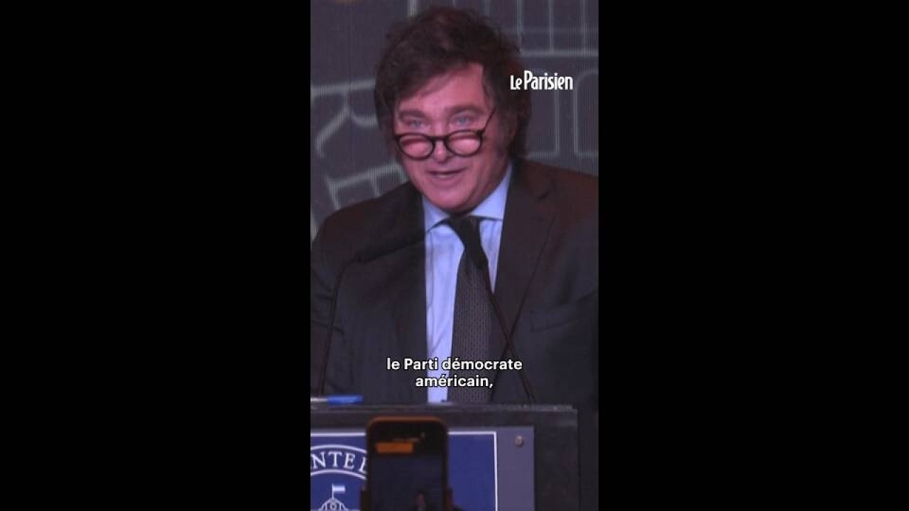 Javier Milei accuse le Brésil d'avoir financé une « campagne anti-Argentine »