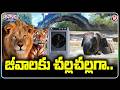 Summer Care at Nehru Zoo : Coolers, Sprinklers Set Up For Animals To Tackle Heat | V6 Teenmaar