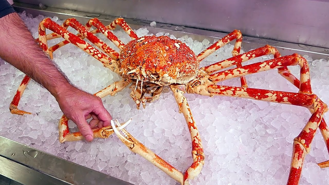 World's+Biggest+Crab+-+Japanese+Spider+Crab.