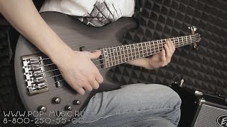 Бас-гитара SCHECTER C-5 CUSTOM