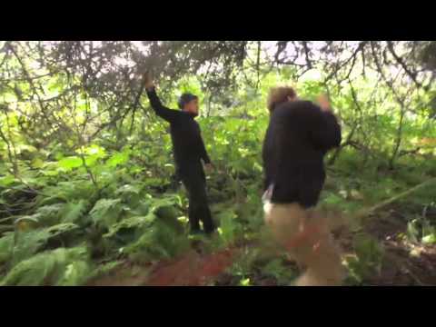 Ben Fogle: New Lives in the Wild'