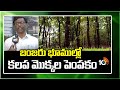 Timber Cultivation | బంజరు భూముల్లో కలప మొక్కల పెంపకం | Matti Manishi | 10TV News