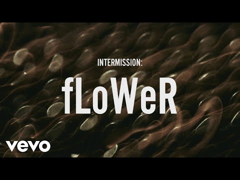 INTERMISSION: fLoWer