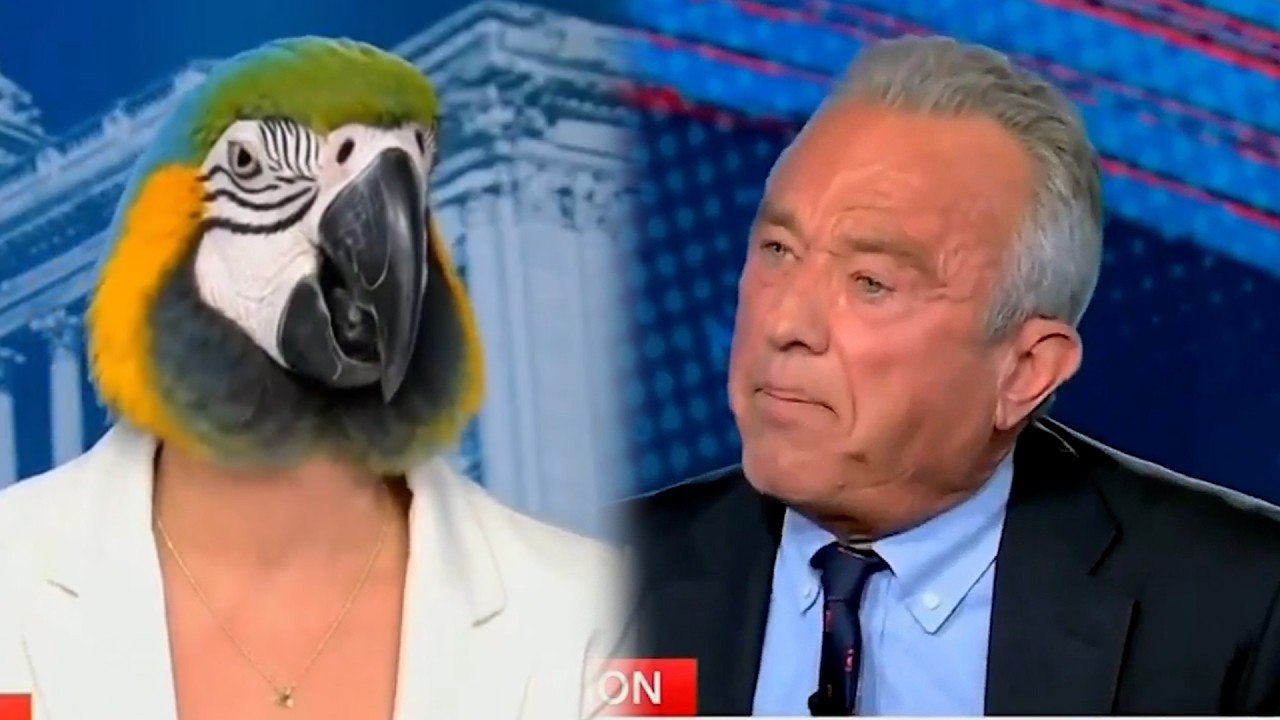 LMAO: RFK JR. Puts CNN's "Parrot" Dana Bash In Her Place