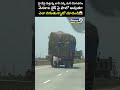 హైవేపై వెళ్తున్న లారీ ఎక్కి మరీ దొంగతనం.. ఎలా దిగుతున్నాడో చూడండి😱| Thief caught Viral Shocking  - 00:07 min - News - Video