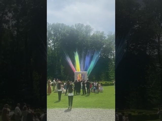 Постріл кольорового диму на церемонію одруження, дим на гендер паті