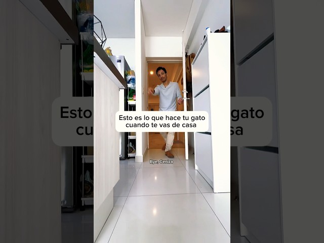 ¡Casi me cachan! 🙀