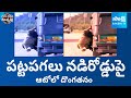 కాపాడండి ప్లీజ్ | Theft Incident In Auto At Punjab Viral Video | Garam garam varthalu | SakshiTV