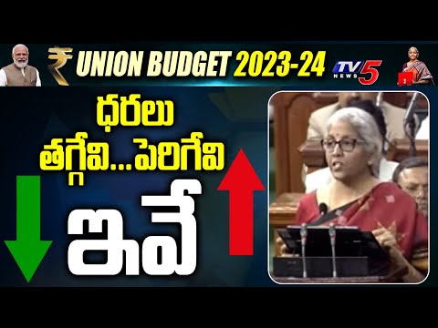 Union Budget: What items are now cheaper and what are more expensive