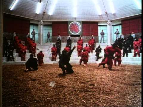American Ninja 2: The Confrontation'