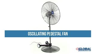 Oscillating Pedestal Fan 24 Inch Diameter