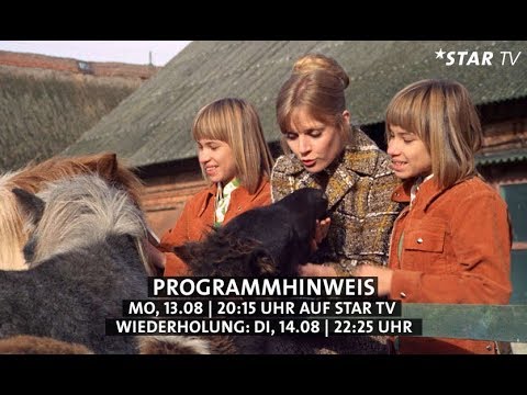Die Zwillinge vom Immenhof'