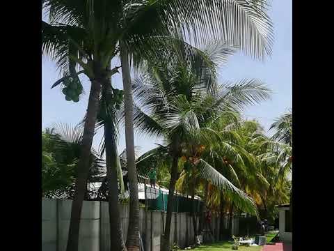 Property video