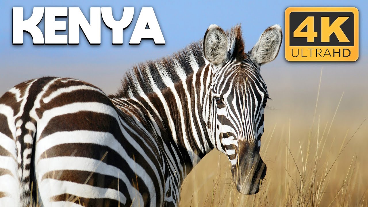 Kenya: A Breathtaking Journey Across Land, People & Wildlife | 4K UHD Documentary