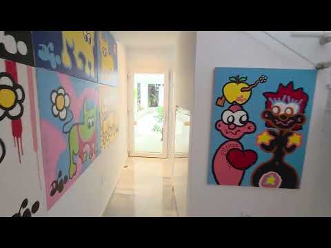 Property video