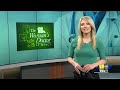 Womans Doctor: What is cord blood banking? What can it do?(WBAL) - 01:21 min - News - Video