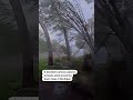 Doorbell camera shows tornado winds downing trees in Michigan | REUTERS  - 00:23 min - News - Video