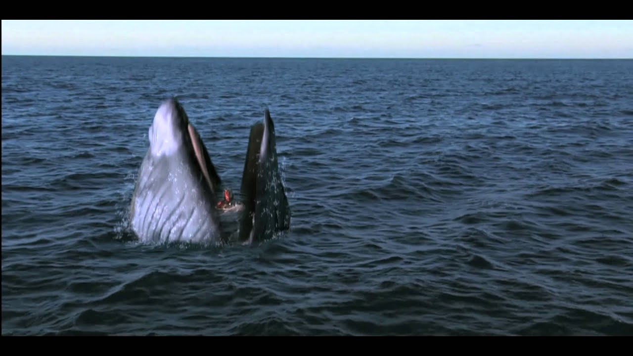 girl-gets-swallowed-by-whale-viewer-discretion-youtube