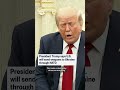 President Trump says U.S. will send weapons to Ukraine through NATO  - 00:41 min - News - Video