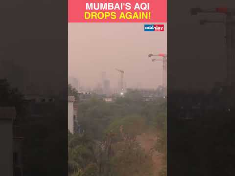 Mumbai wakes up to a blanket of smog as air quality drops 