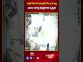 పెన్షన్ కోసం హిందూపూర్ లో బ్యాంక్ వద్ద ఎదురు చూస్తూ కుప్పకూలిన వృద్ధుడు |CCTV Footage Visuals | 99tv  - 00:59 min - News - Video