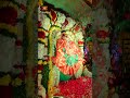మహాద్భుత రీతిలో ఎక్కడా చూడని మహాలక్ష్మీకి విశేష పుష్పాభిషేకం #kolhapur #mahalakshmi #pushpabhishekam - 00:23 min - News - Video