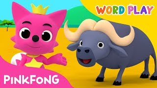 Buffalo | Word Play | Pinkfong Songs for Children