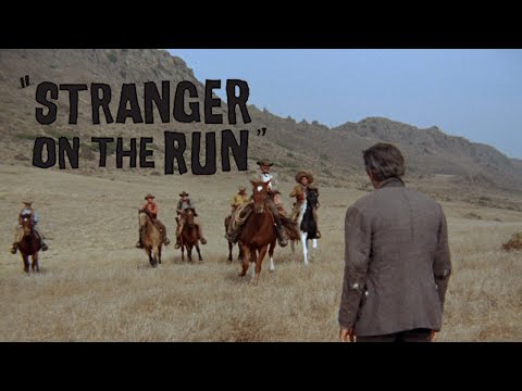 Stranger on the Run'