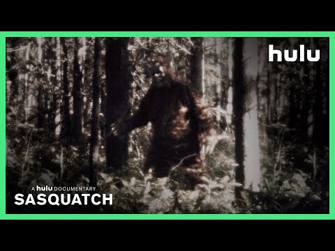 Sasquatch'