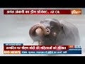 Supreme Court on Vantara: रिलायंस फाउंडेशन के वनतारा प्रोजेक्ट पर मिली बड़ी राहत | Reliance  - 04:12 min - News - Video