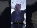 Community faced with devastating aftermath of wildfires in northwestern Turkey - 01:02 min - News - Video