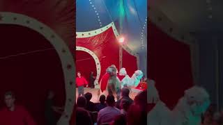 Cirque Achille ZAVATTA les chameaux 🐫