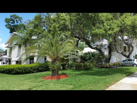Property video