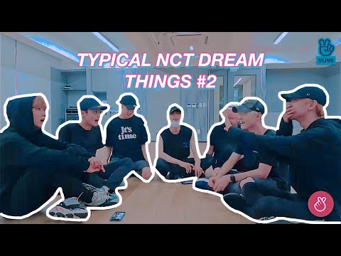 things nct dream does daily #2