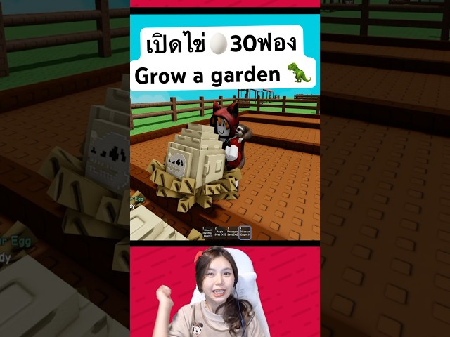 ดวงวันนี้จะเปิดไข่ได้ทีเร็กมั้ย!!!