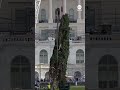 U.S. Capitol Christmas tree arrives in Washington, D.C.