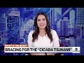 Cicada tsunami: Millions of cicadas to emerge from ground in US  - 02:07 min - News - Video