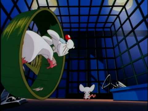 Pinky and the Brain'