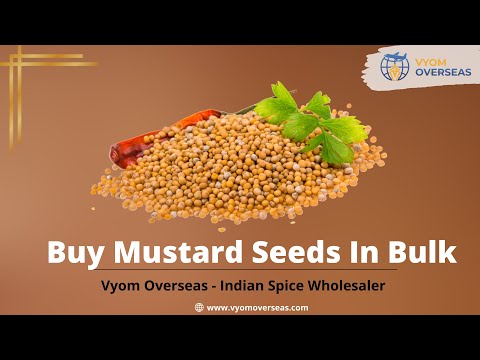 All About Buying Mustard Seed In Bulk Online From Global Spice Exporter | Vyom Overseas