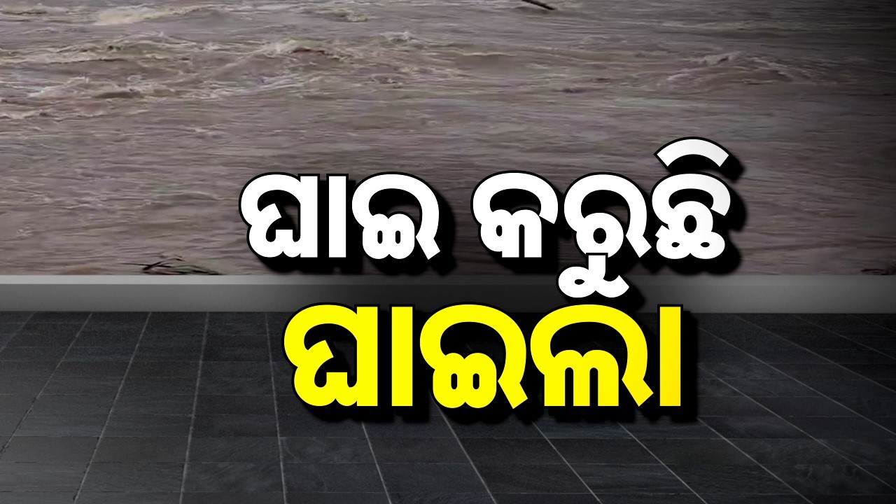 🔴Live | ଘାଇ କରୁଛି ଘାଇଲା | Odisha Flood Alert | Odisha News | Argus News