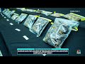 Museum curator accused of smuggling scorpion and spider samples  - 01:54 min - News - Video